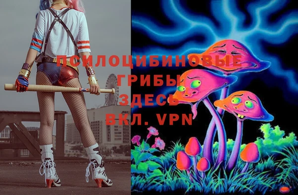 не бодяженный Саяногорск