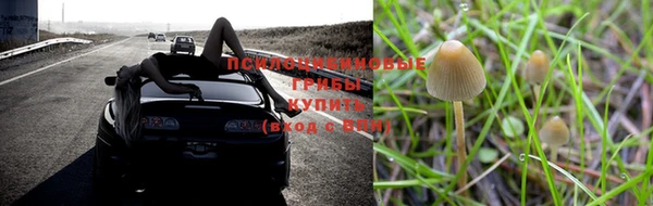 стафф Алексеевка