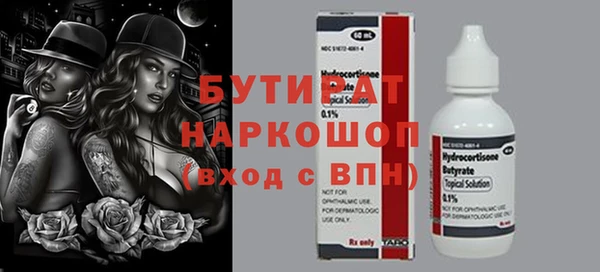 индика Гатчина