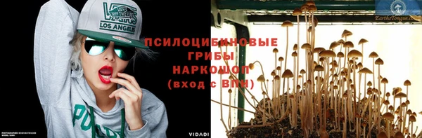 герыч Алексин